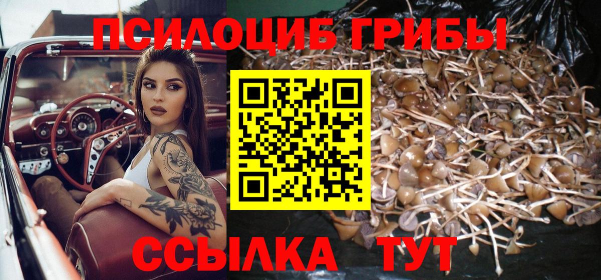 Псилоцибиновые грибы мицелий Алексеевка